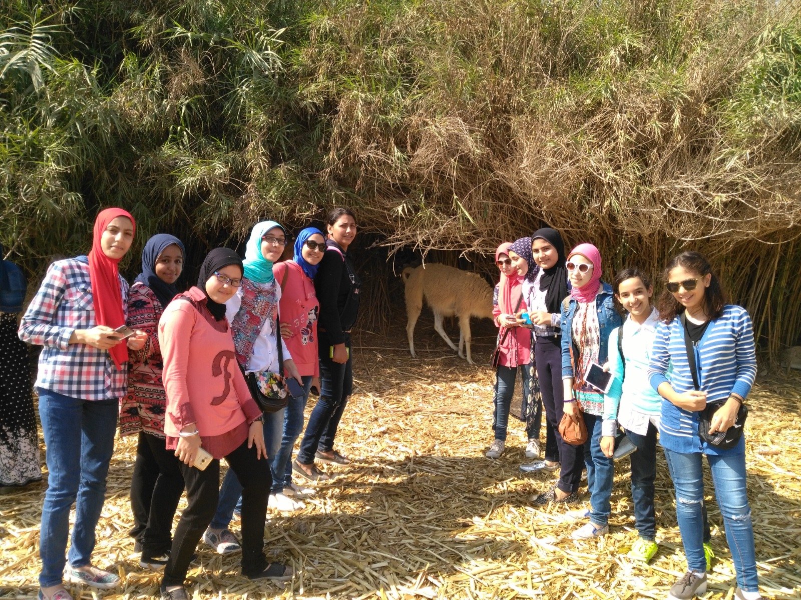 رحله الاسكندرية